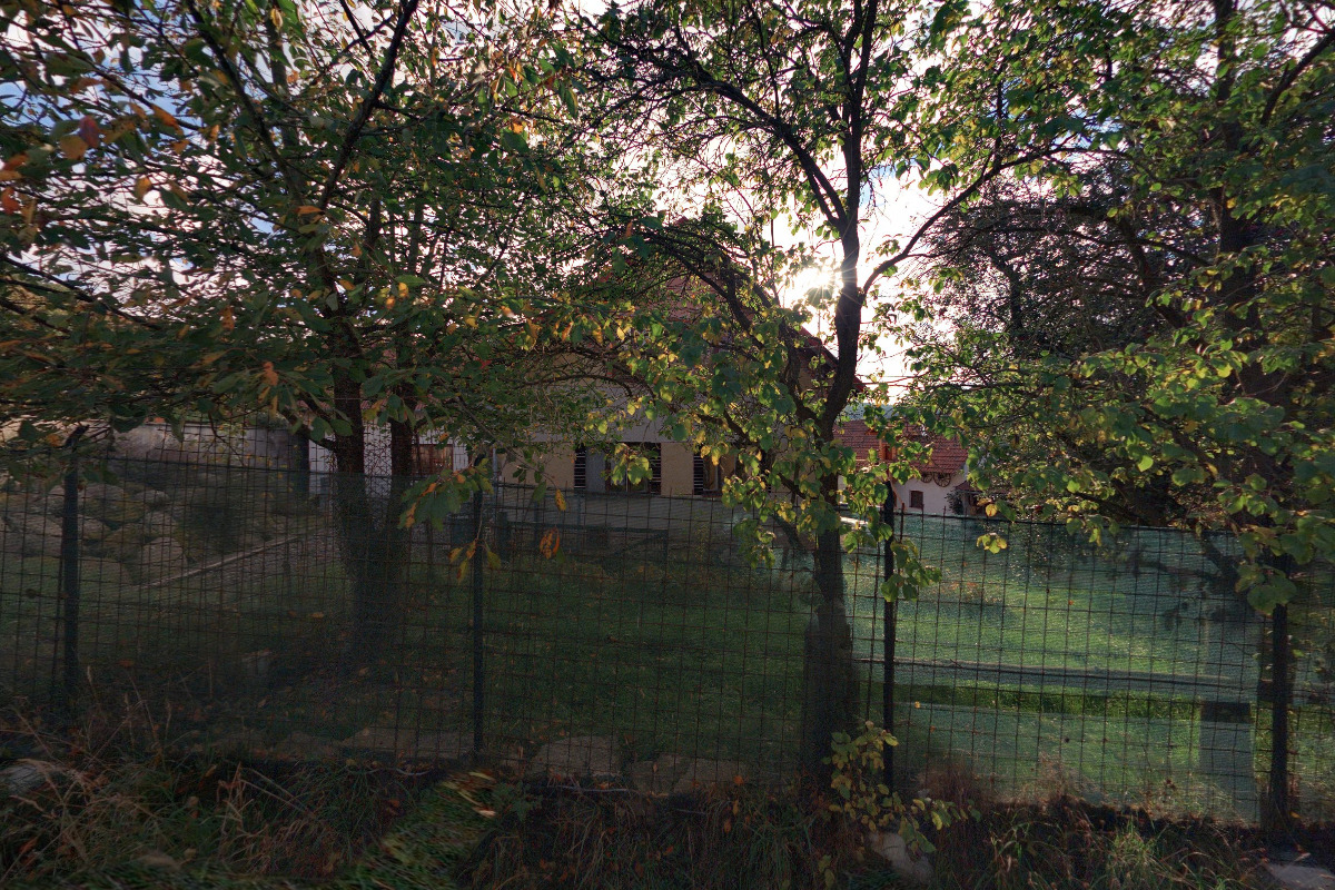 Lucie Čápová - Samoobslužná prodejna