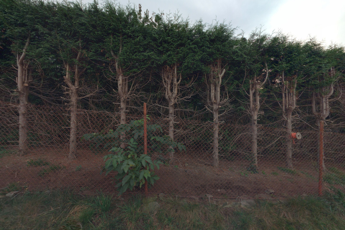 Místo pro život DP, z.ú.