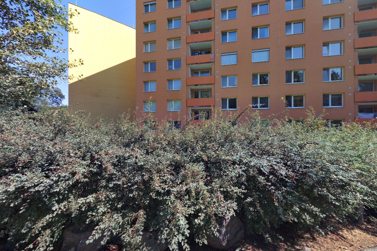 Petr Sedlecký foto 2