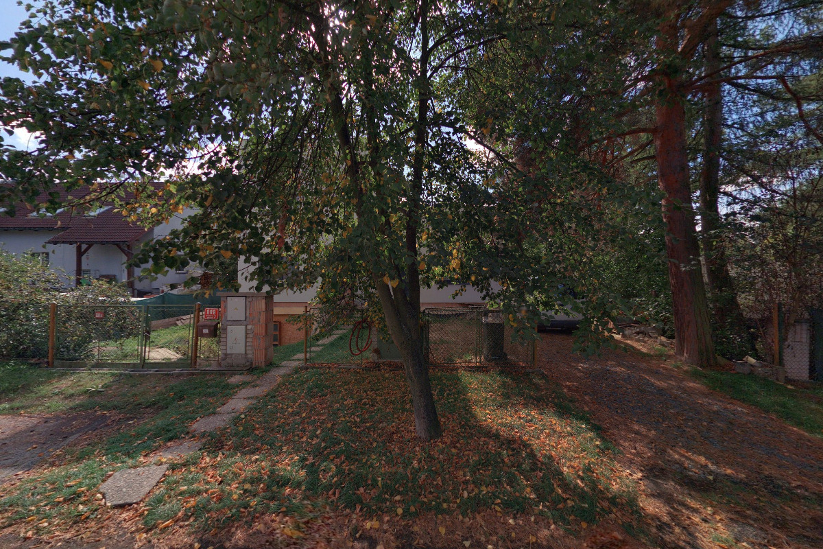 Alena Kupková foto 1