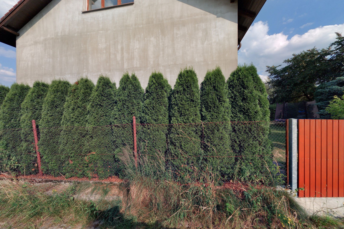 Václav Forejt - zednické a obkladačské práce