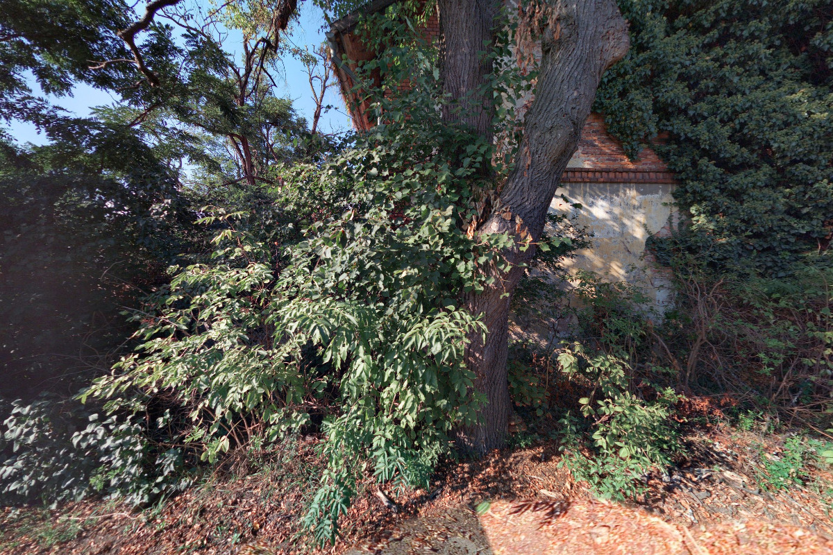 Nadační fond LUX ET LAPIS