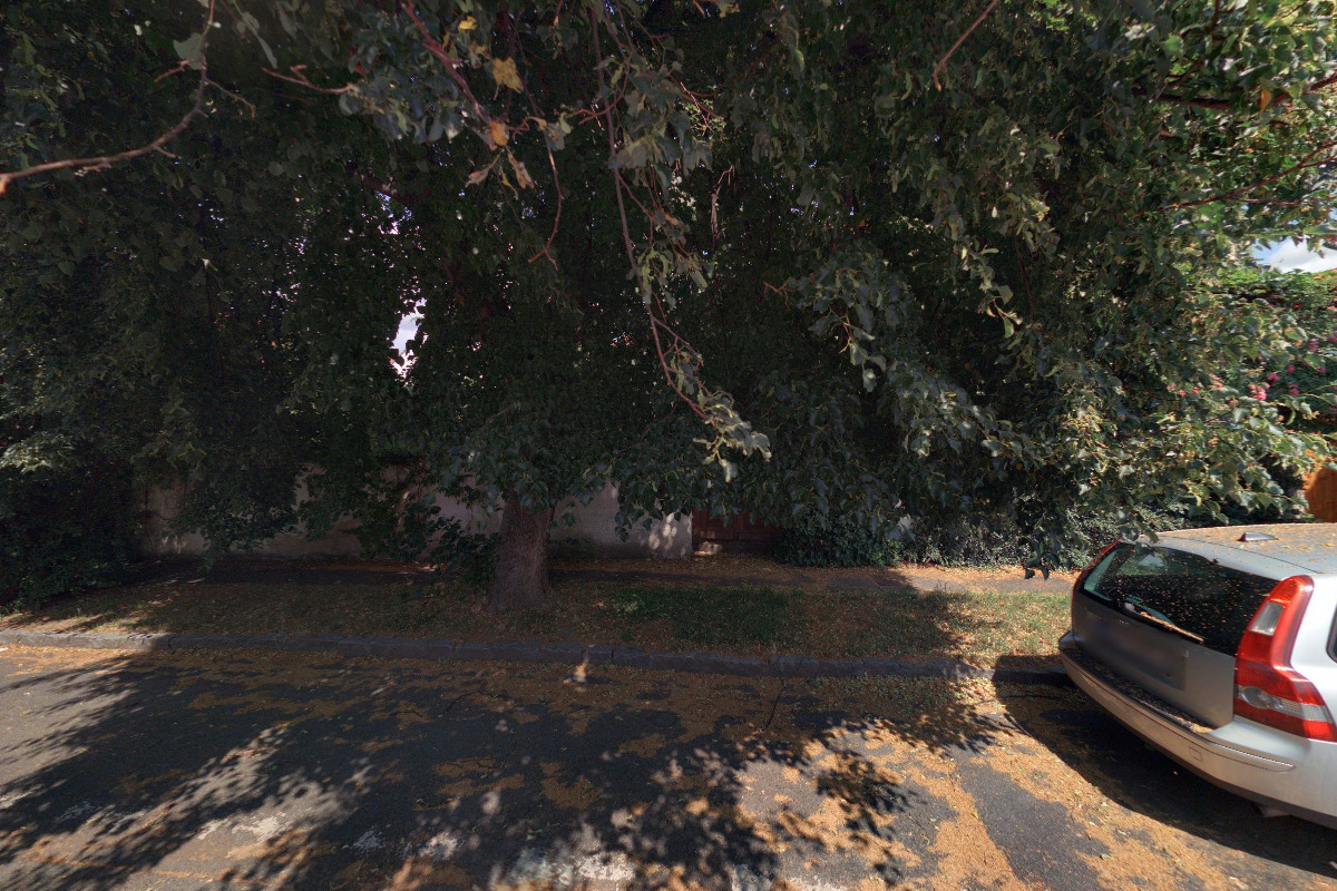 MUDr. Michaela Fiedorová foto 2