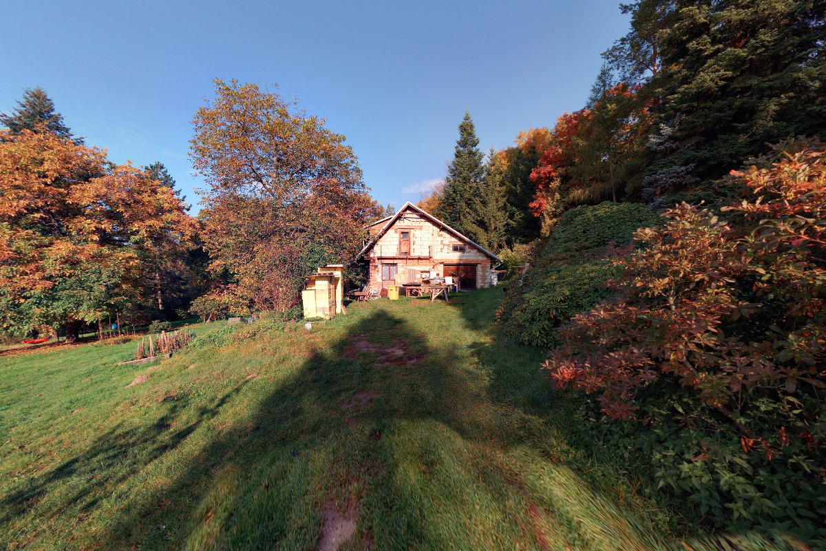 Ing. Jan Král - Včelí království