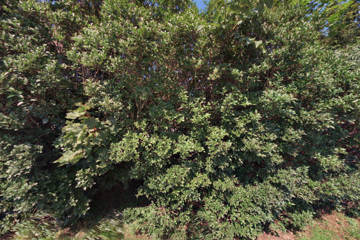 Zahradnictví Tichý