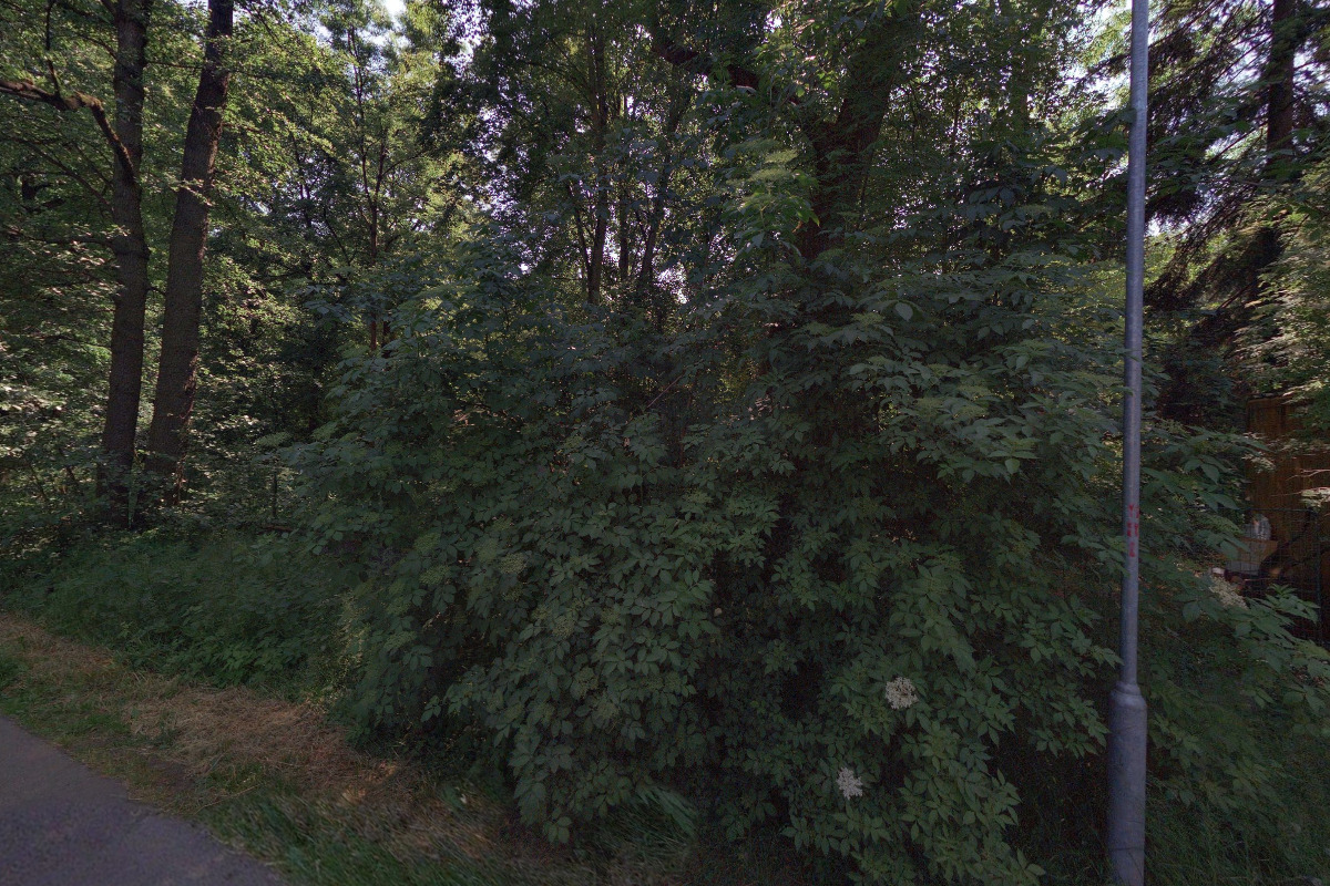 PRODANCE - letní kino foto 1