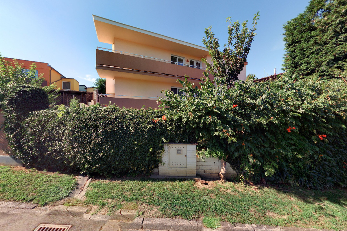 JUDr. Radovan Prachman