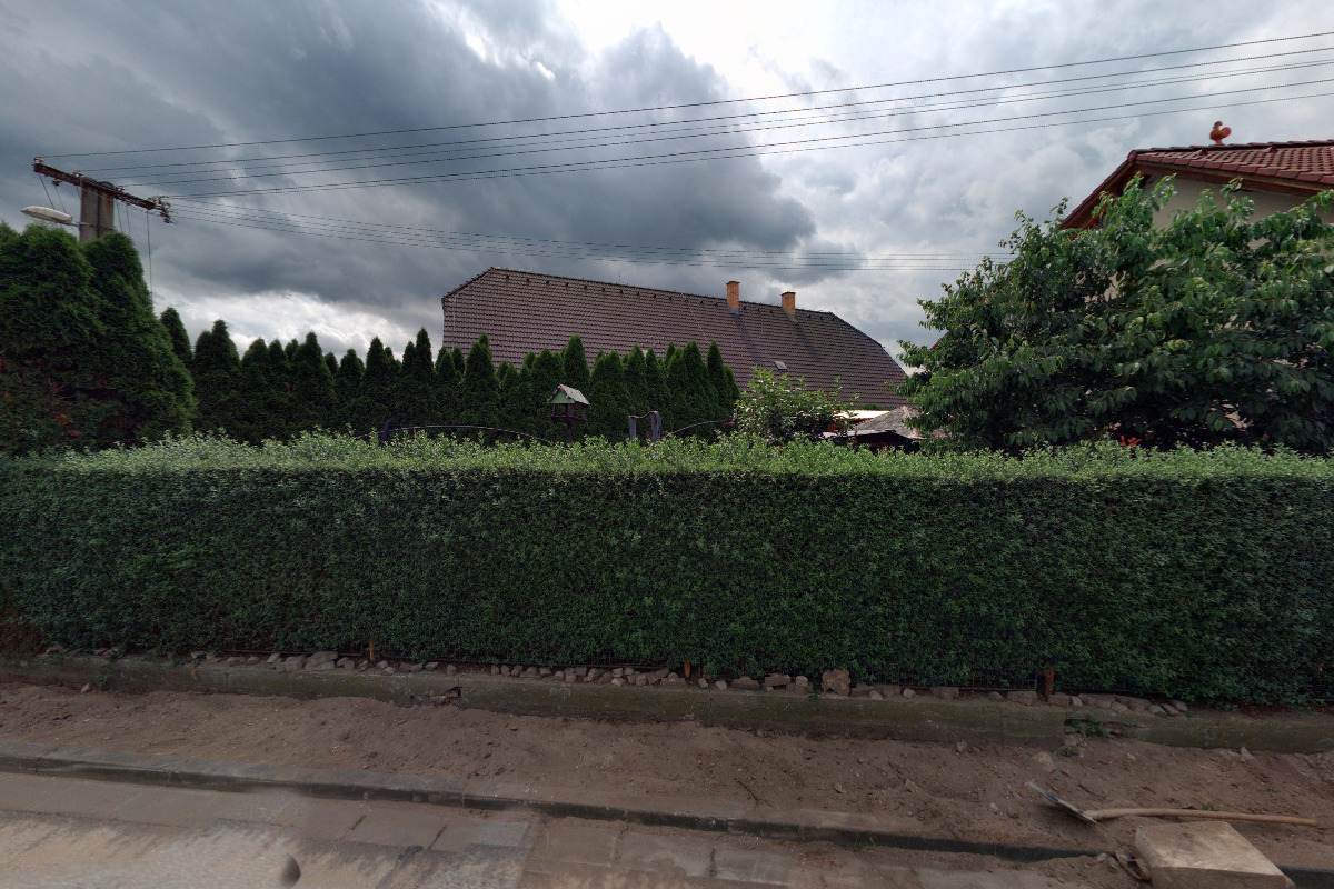 Jiří Tesárek - izolace