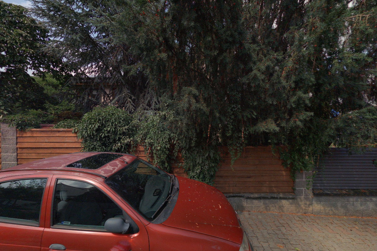 Hana Pumprlová foto 1