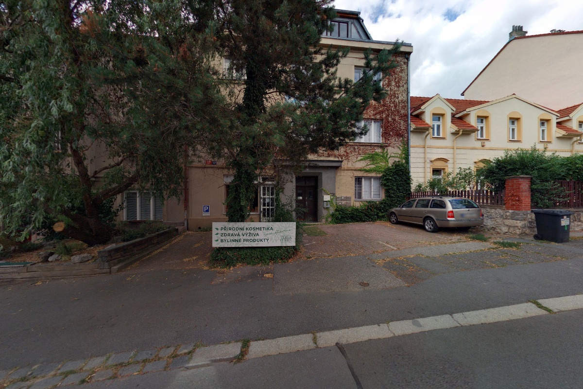 Zuzana Zlatníková - Rekonektivní léčení a Znovunapojení