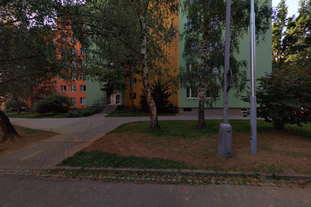 Alena Havlíková foto 2