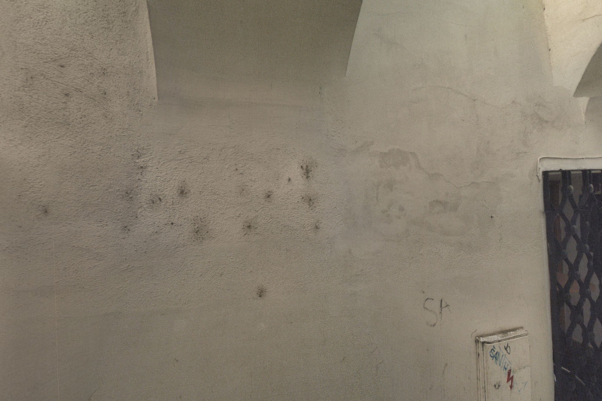 Aloisie Kramářová - Zubní technik