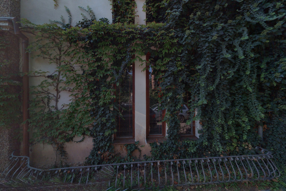 Canisterapeutická asociace