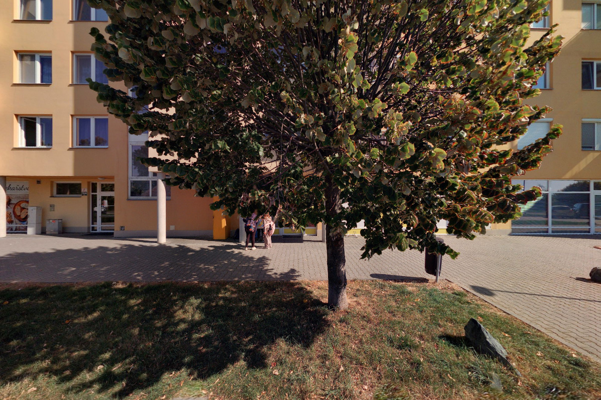 Silvie Podaná foto 2