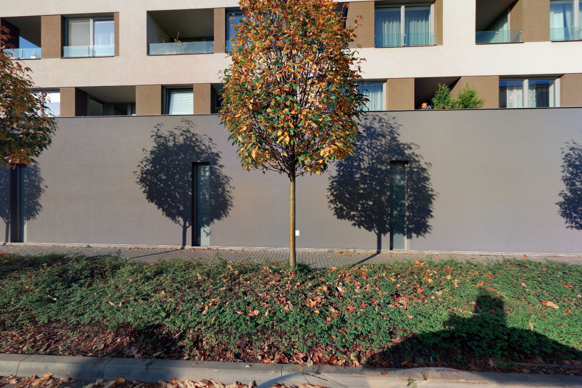 Nikol Kiššová - Realitní makléřka RE/MAX G8 Reality foto 5