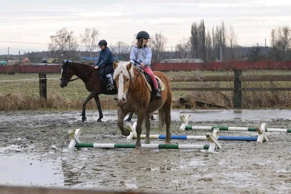 Stáj KoMoDaMa - Jezdecký spolek Borneo foto 2