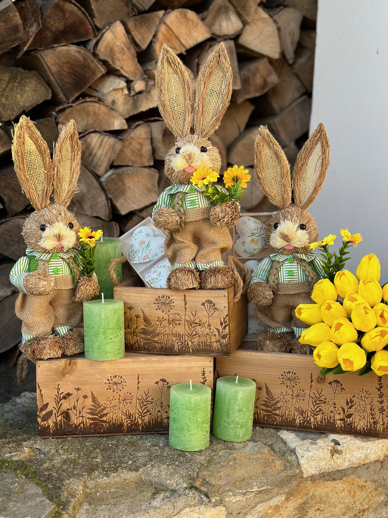 Zaplotemvenkovskehostaveni.cz foto 2