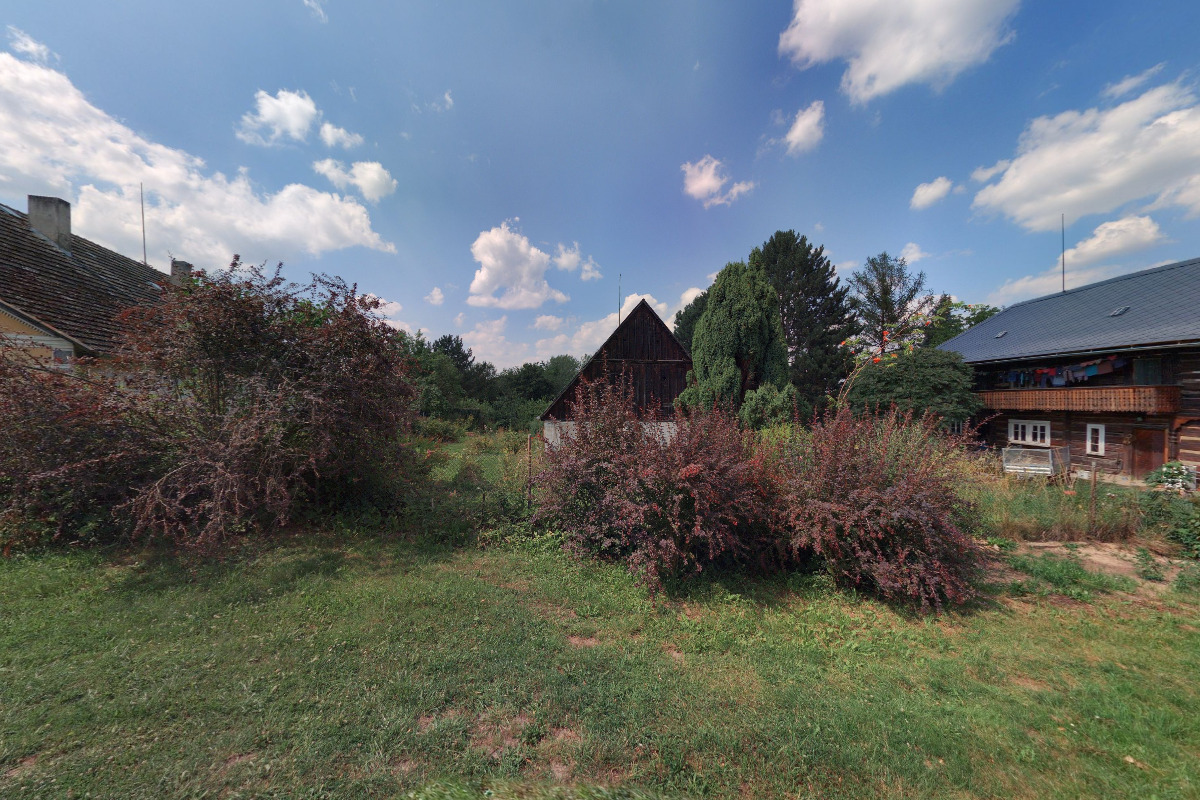 Divoženka v kuchyni