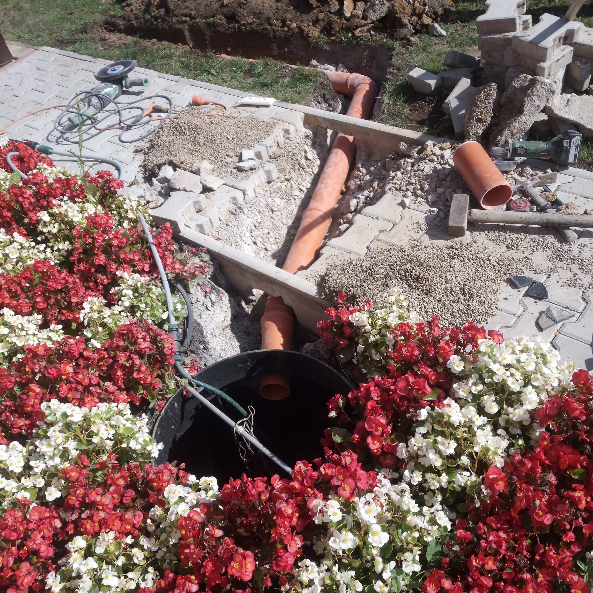 RENOVACE HOUSKA foto 2