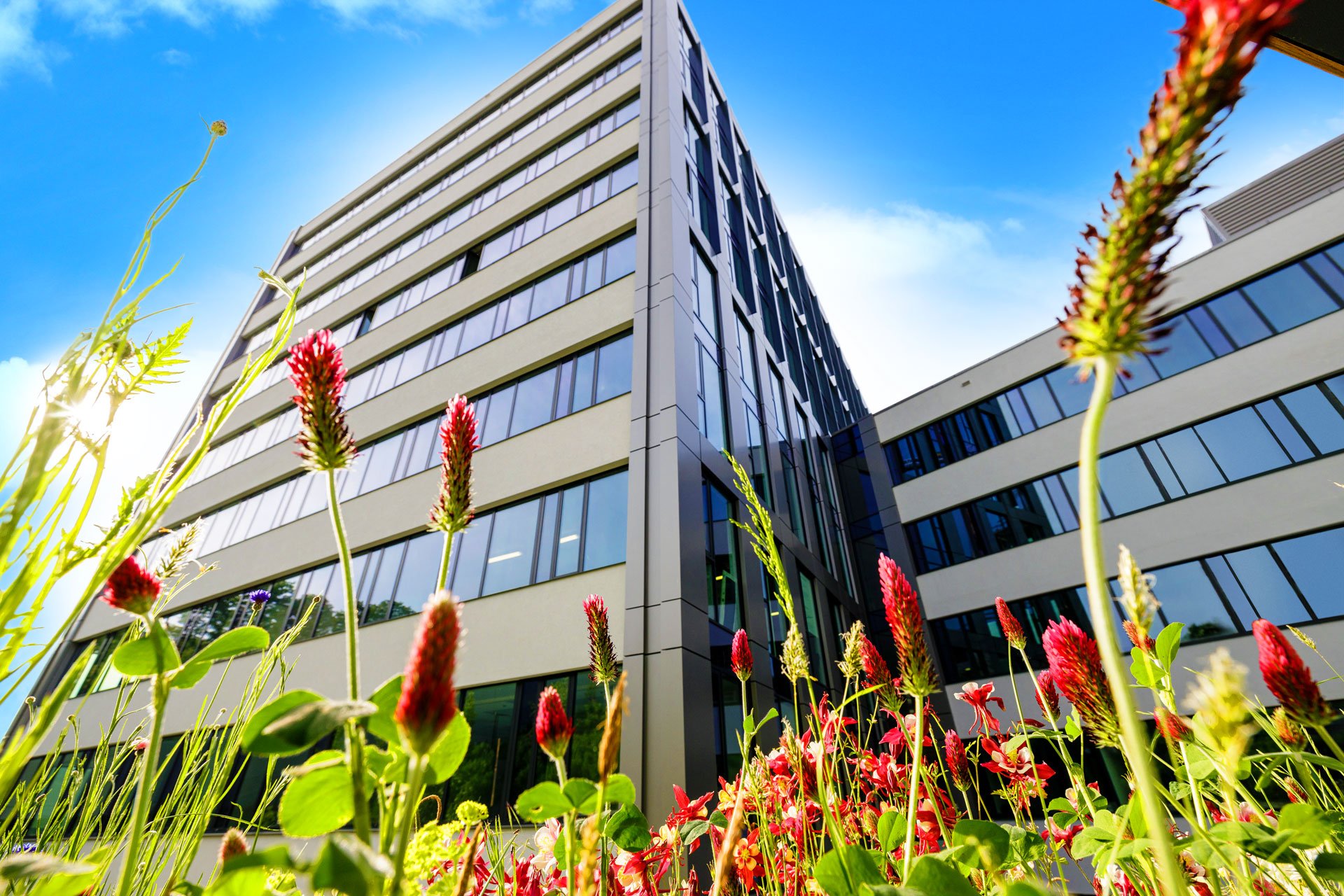 Yellow Reality s.r.o. foto 5