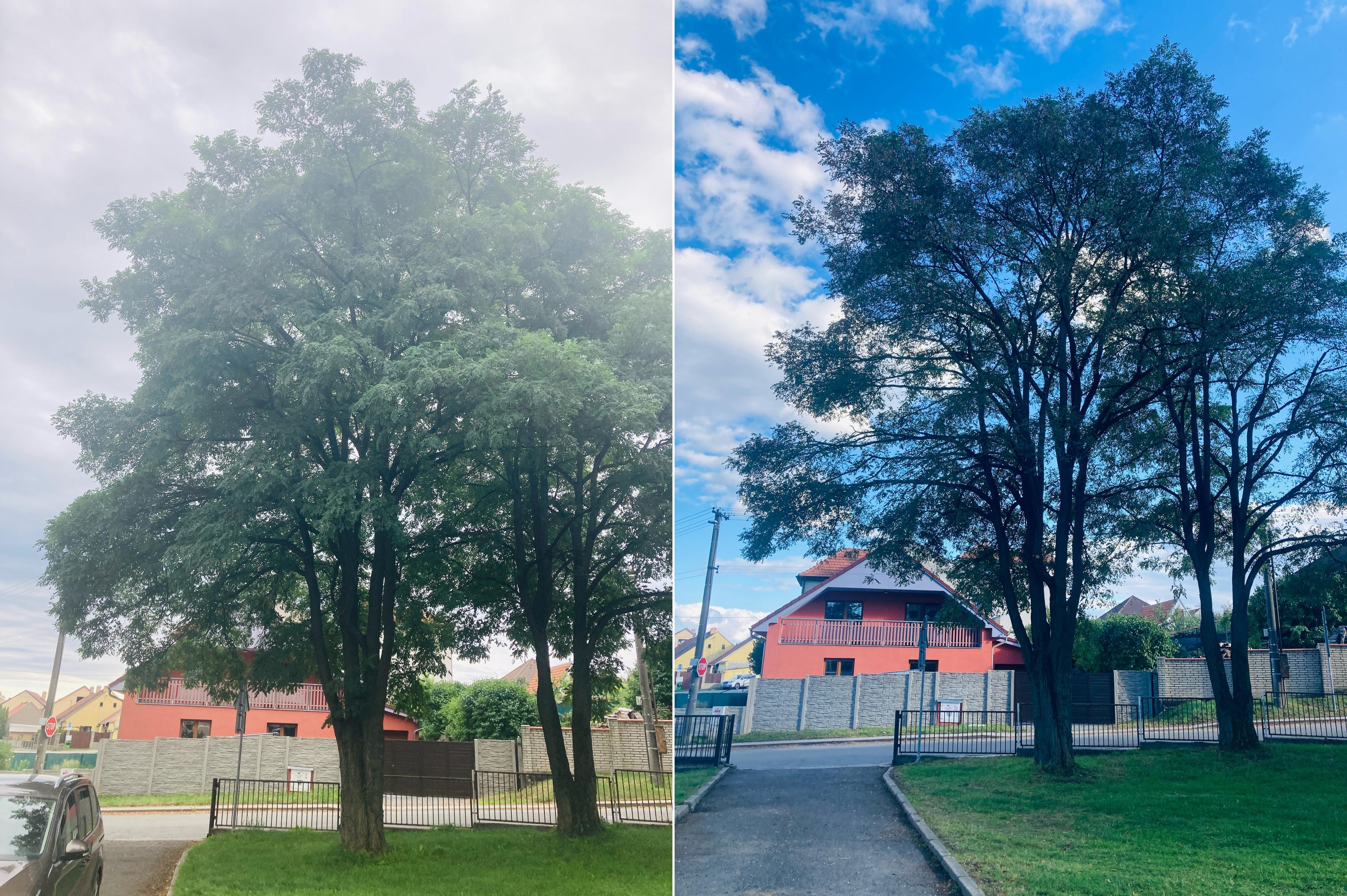 KOMPLEXARBO.cz - Vojtěch Vágner foto 6