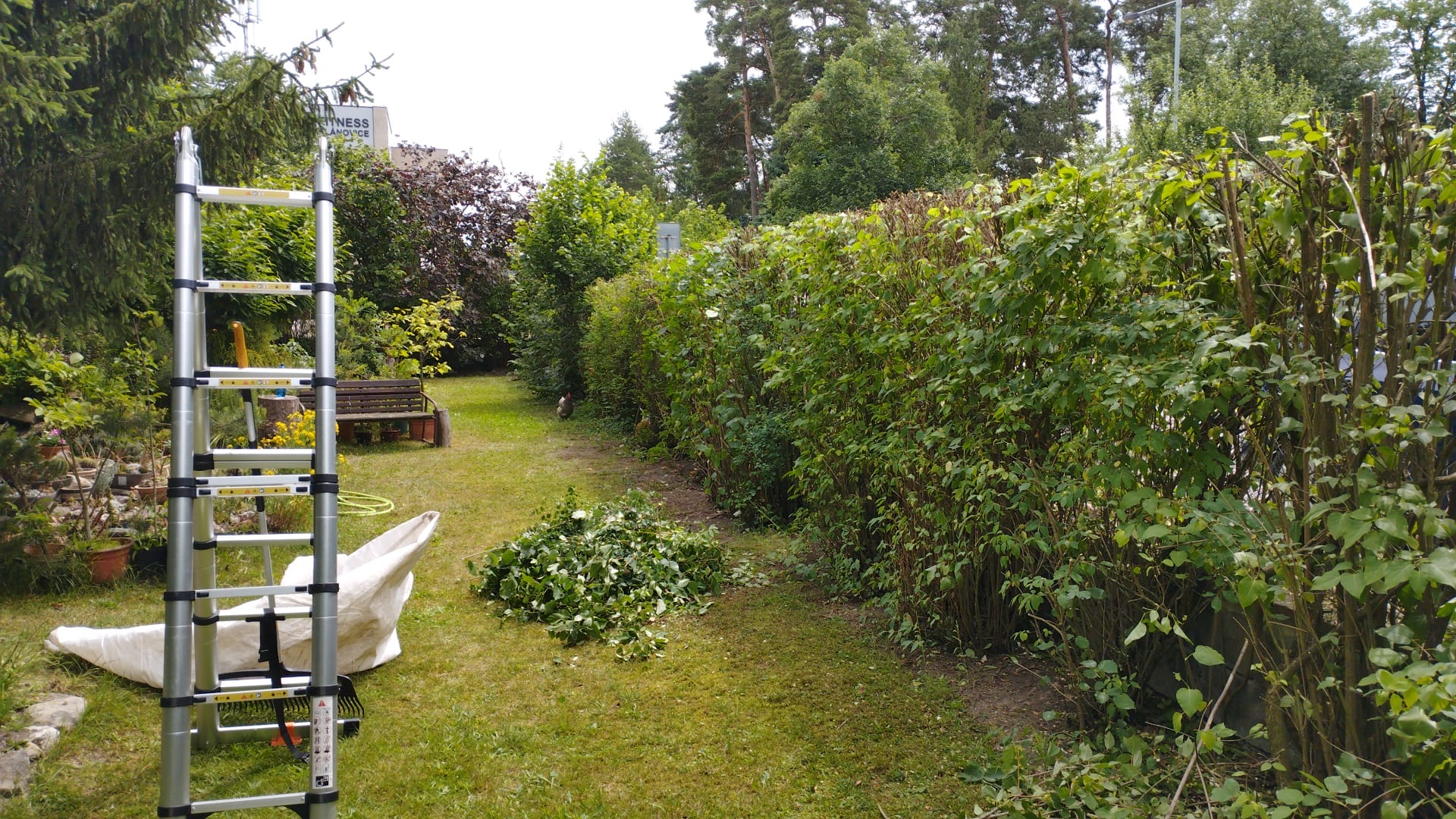 Zahrady a údržby - Matěj Čelikovský foto 2