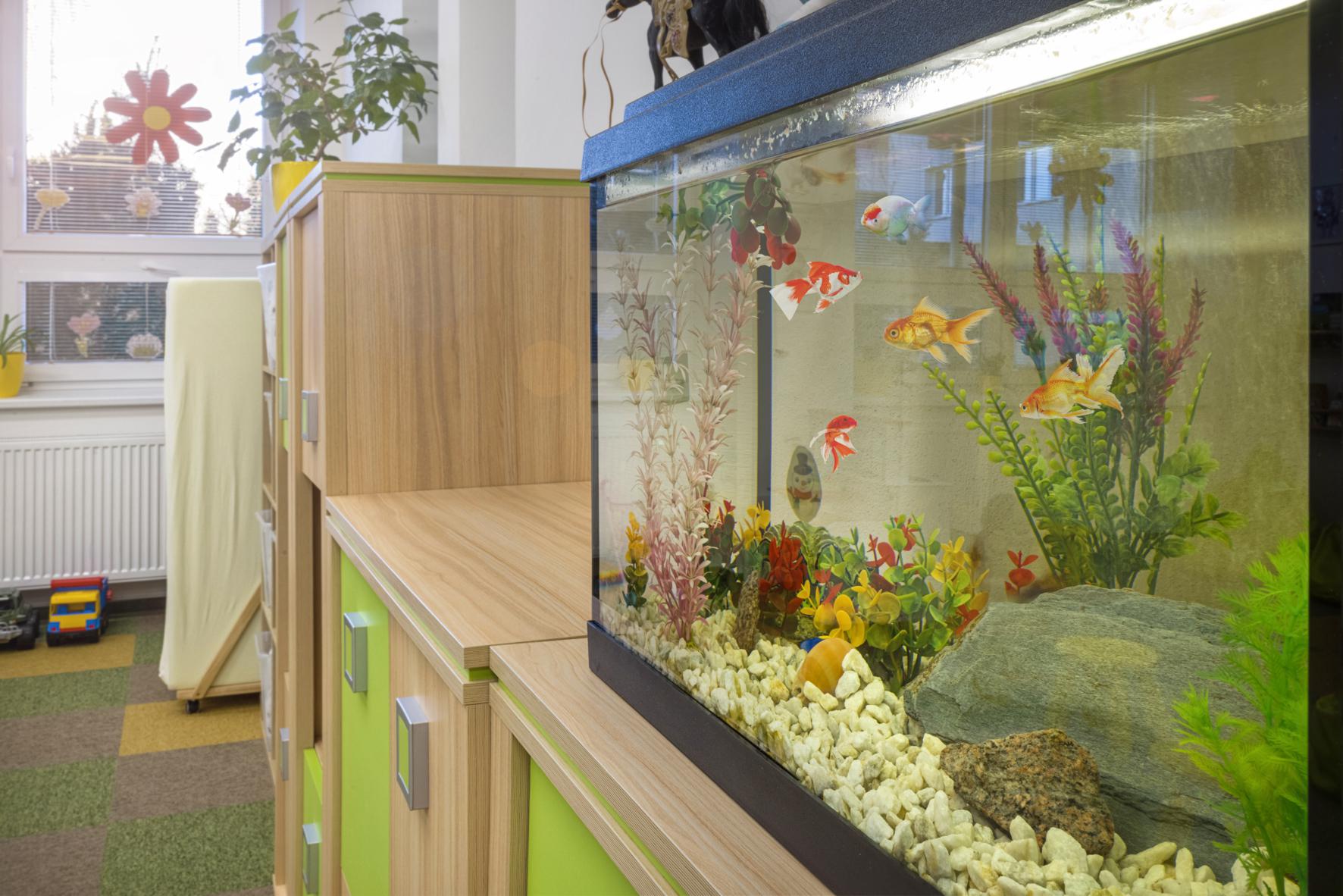 Dětská skupina Holubníček Grand foto 6