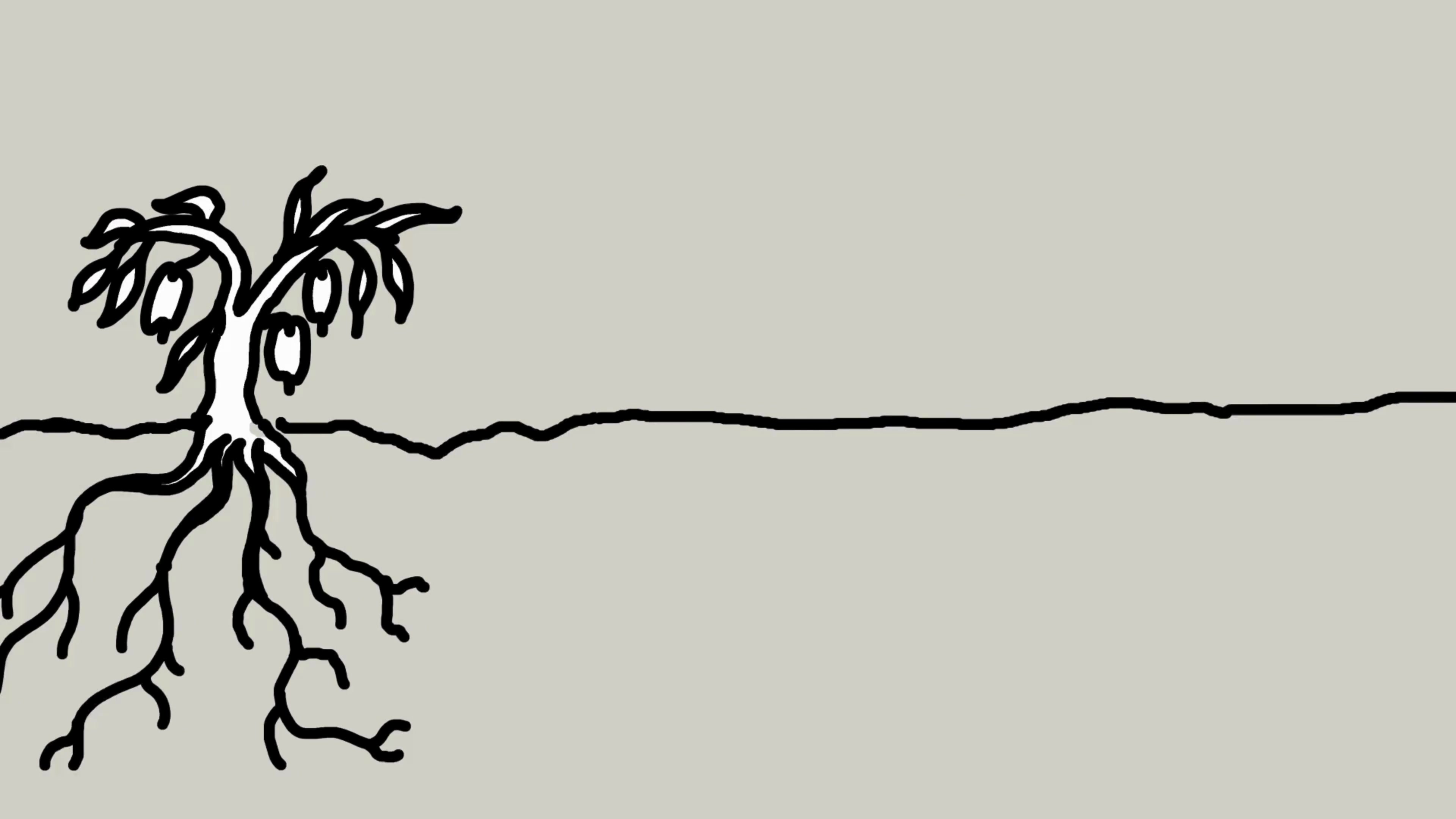 Tuselie - olla samozavlažovací systémy foto 2 (náhled videa)