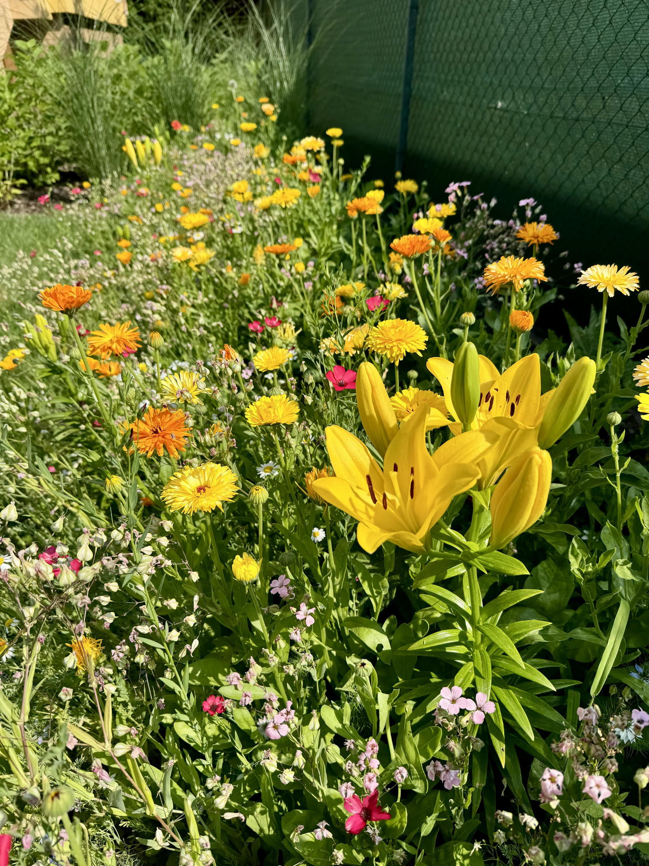 Dominik Šlampa - zahrady foto 3