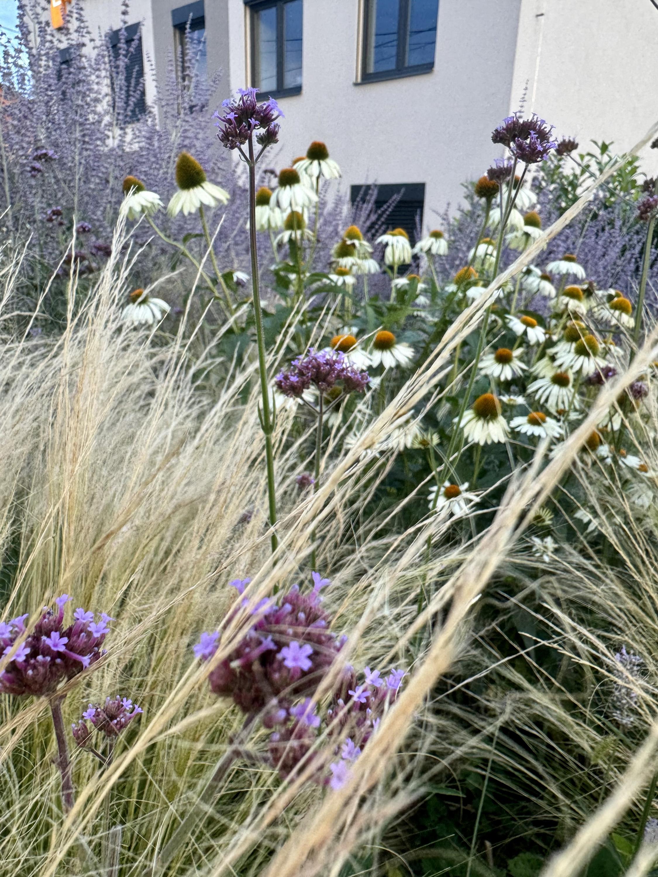 Dominik Šlampa - zahrady foto 4