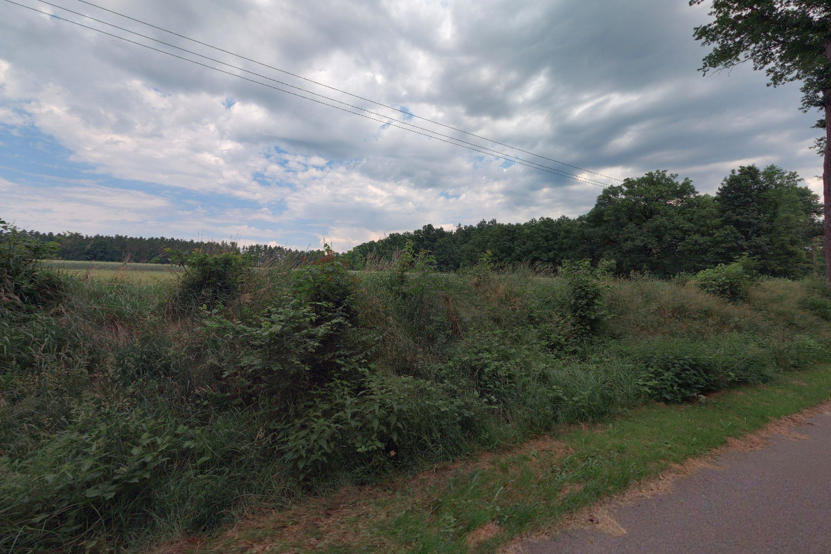 Marek Řeřicha - Česnek Řeřicha