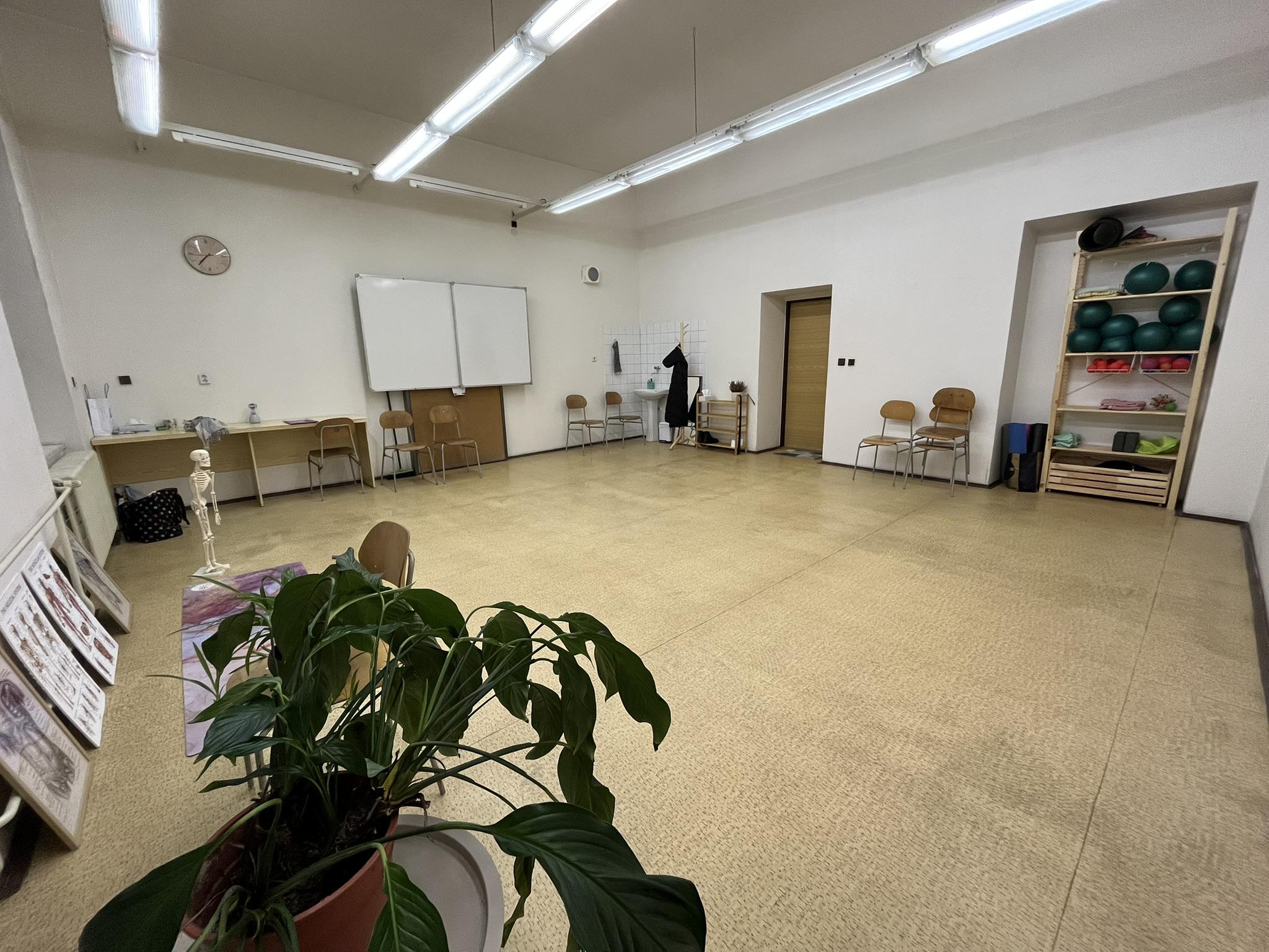 Péče pohybem - Mgr. Kateřina Králová foto 2