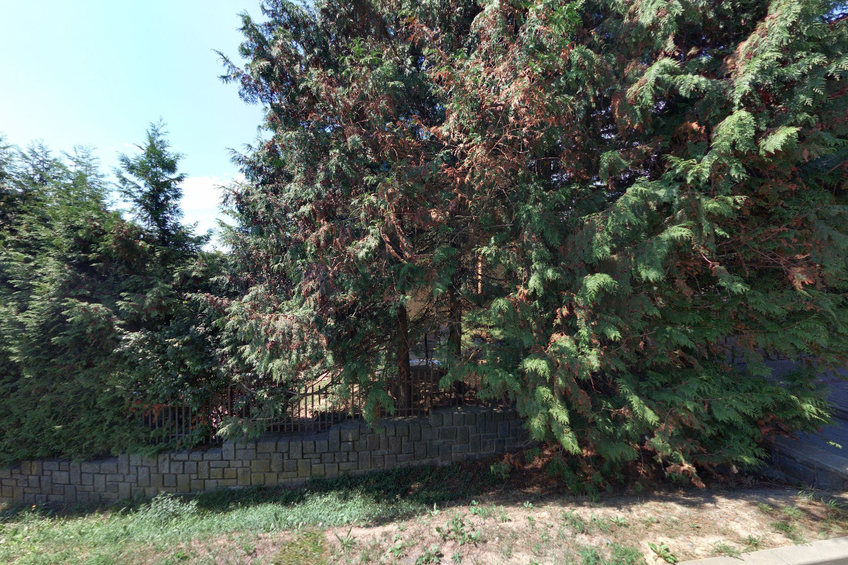 Moravia Trust, s.r.o.