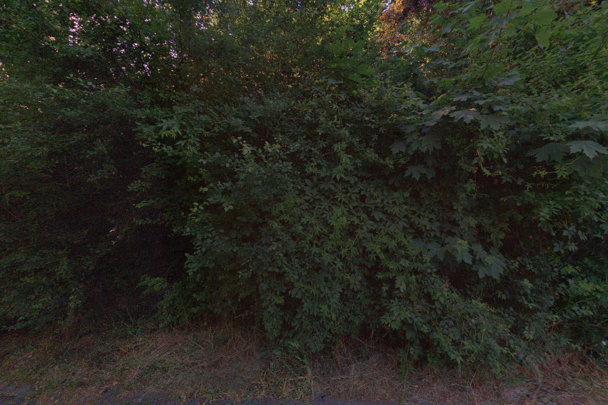 Tenisový klub LTC Svoboda Praha foto 3