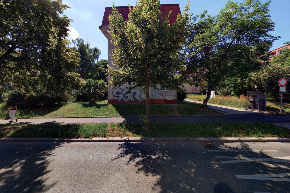 Hlídání koček Jana Kubíková foto 2