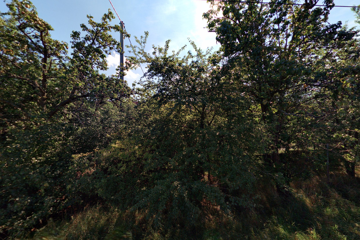 Včelařství v polesí Svatá Anna