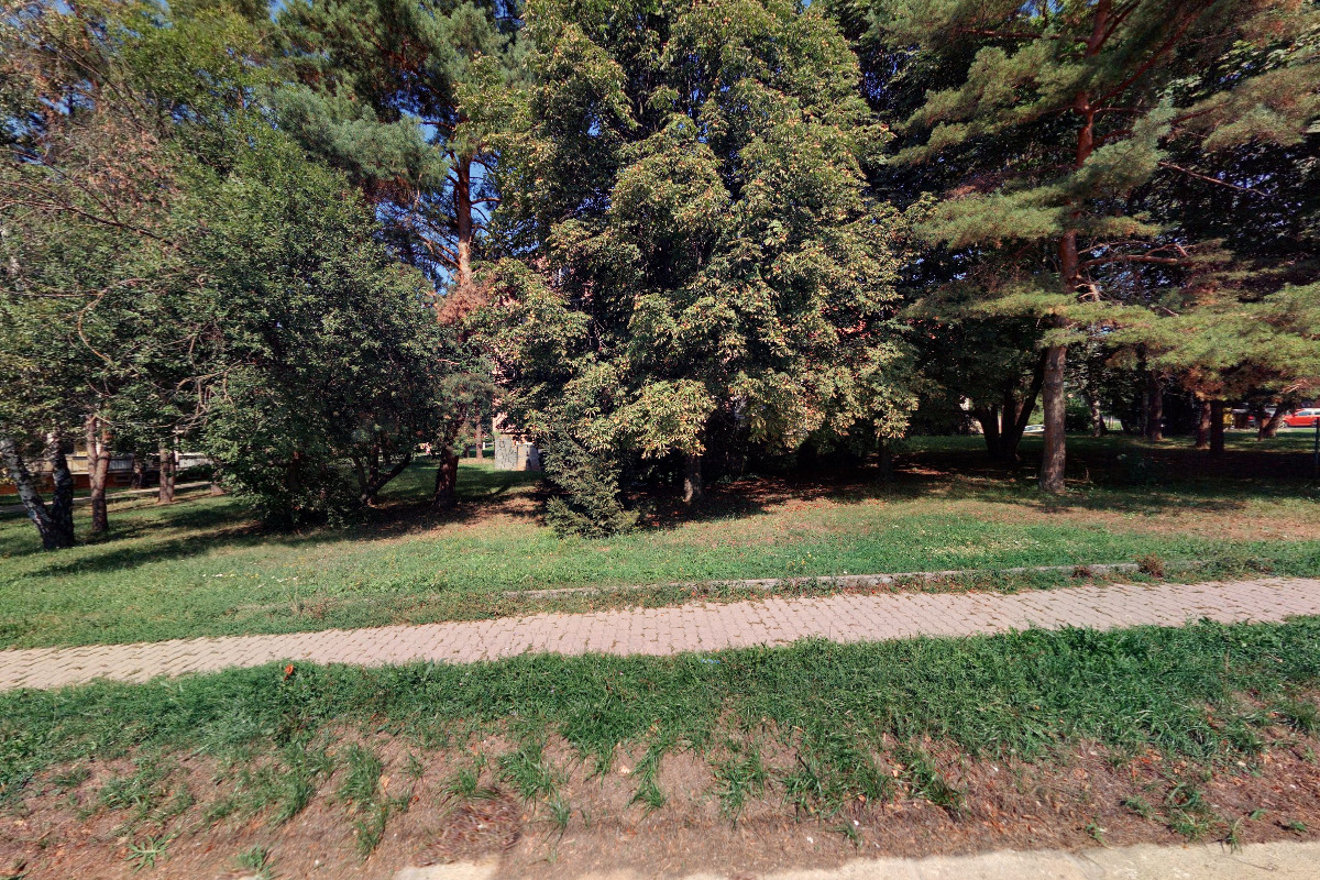 Web Design - Pavel Šafránek