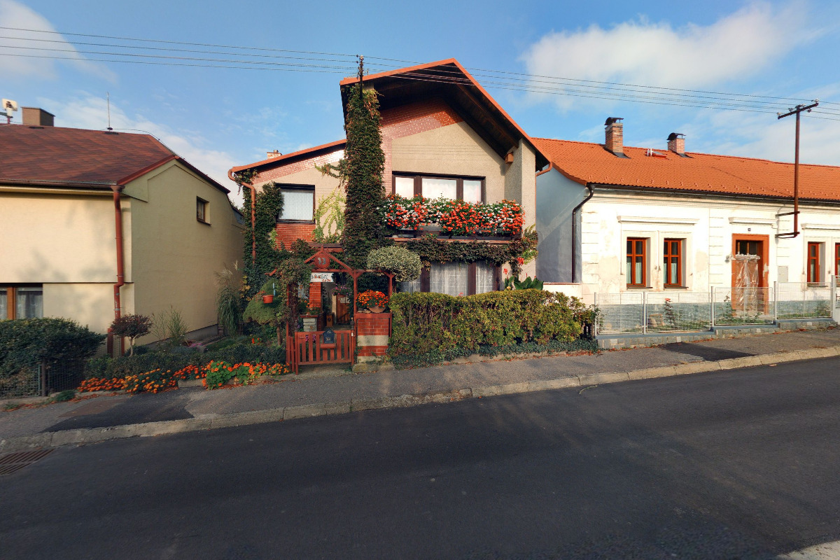 Jindřich Novotný - Rizikové kácení stromů foto 1