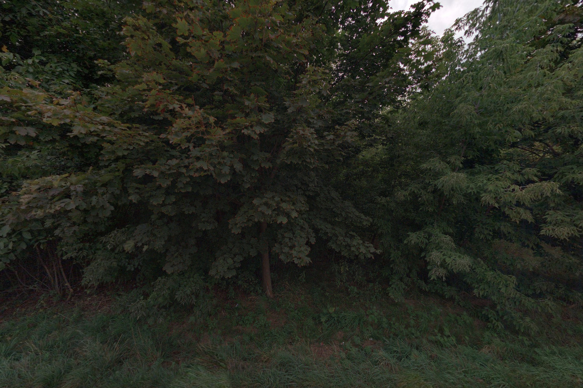 Záchranná brigáda kynologů Praha