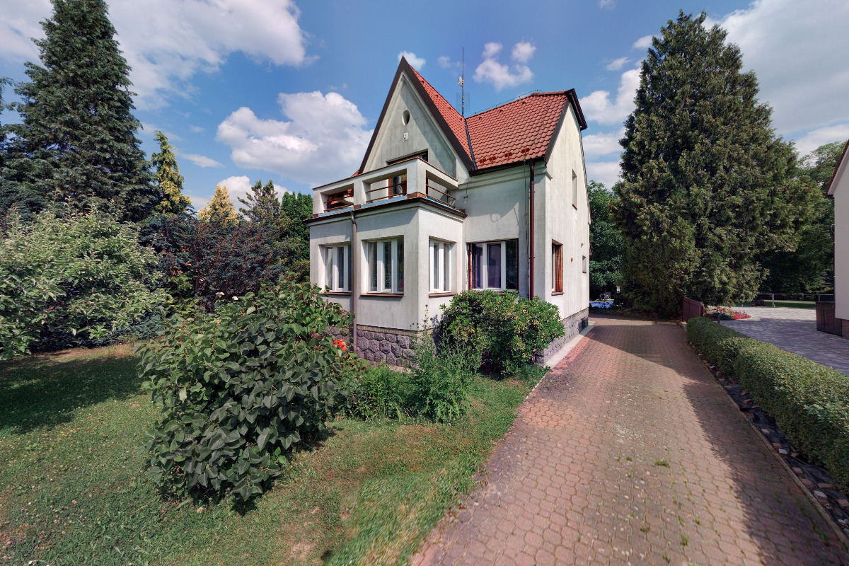 Lukáš Podaný - profi kácení