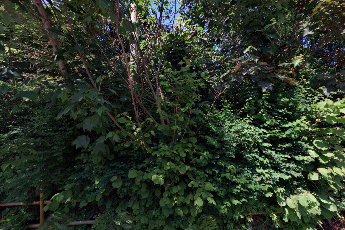 Hubálek - SOFTWARE-HARDWARE-INTERNET