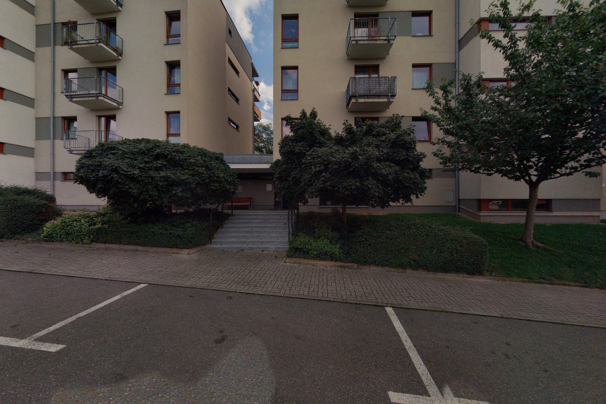 Advokát u stromků foto 2