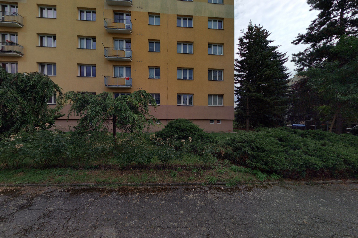 Capoeira Ache Fight Team