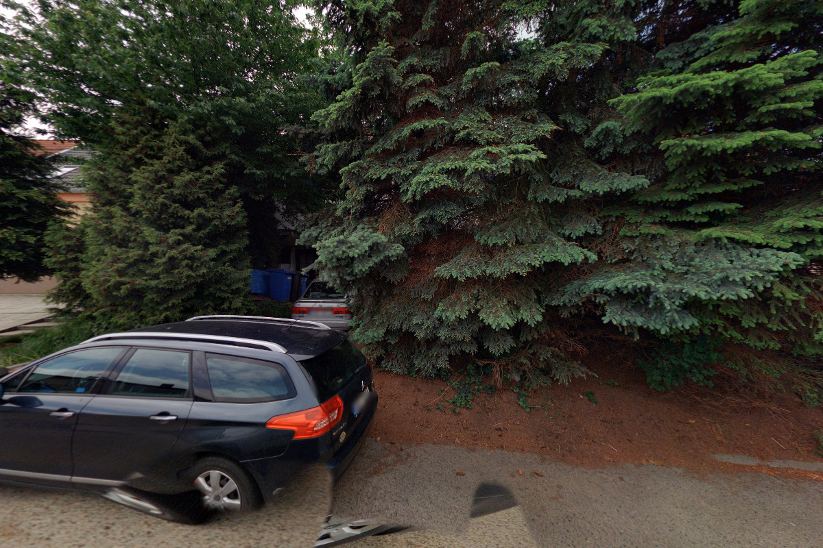 RNDr. Antonín Pliska