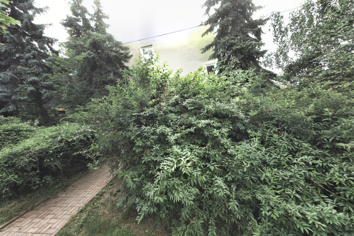 MUDr. Eva Nesměráková