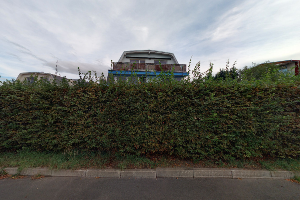 Online marketing - Tomáš Černovský foto 5