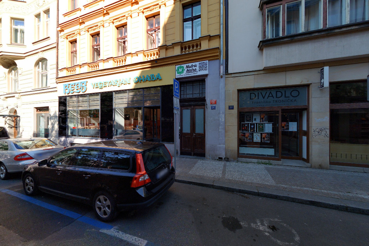 Apartment Vladislavova