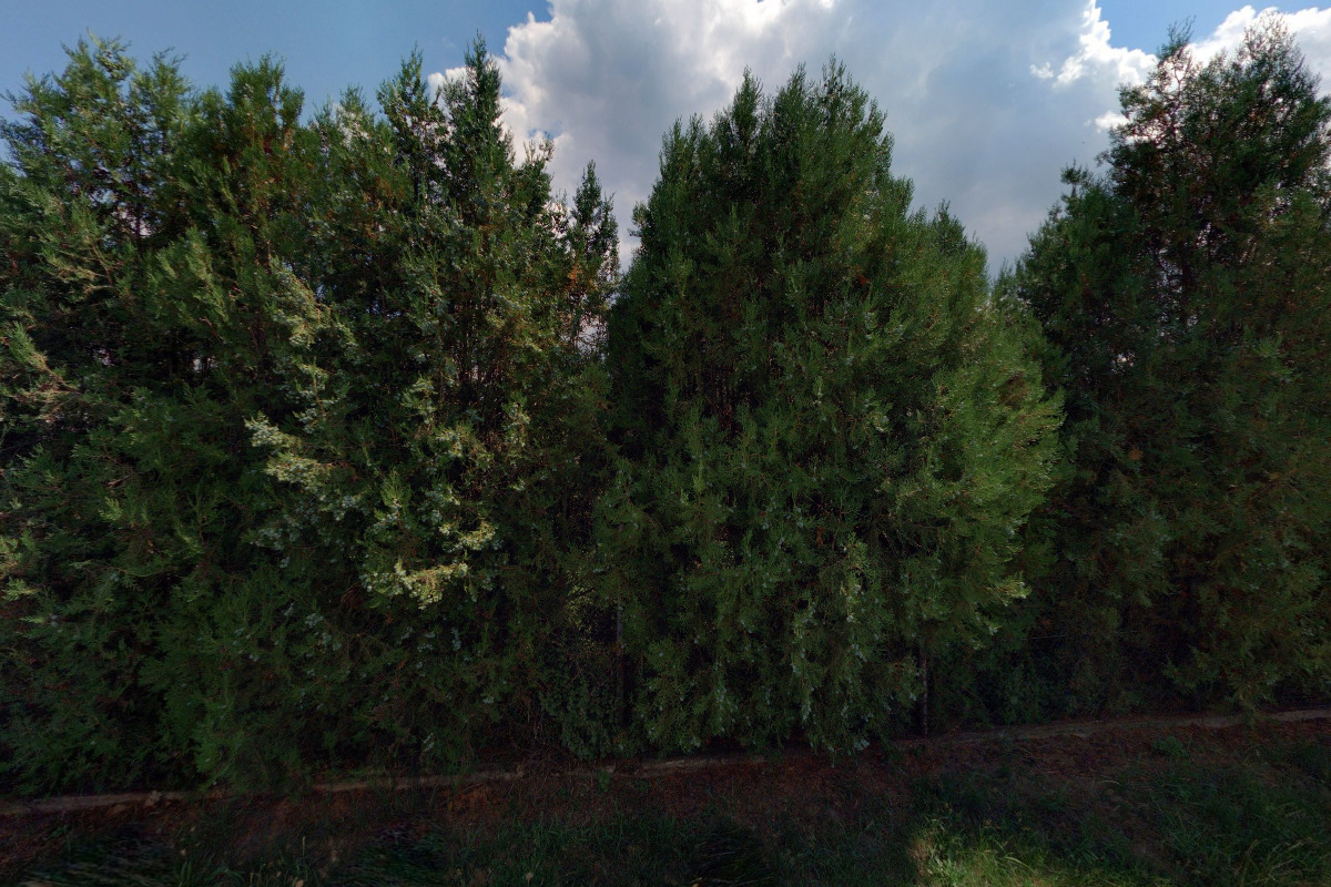 Skupina historického šermu Bakaláři, z.s.