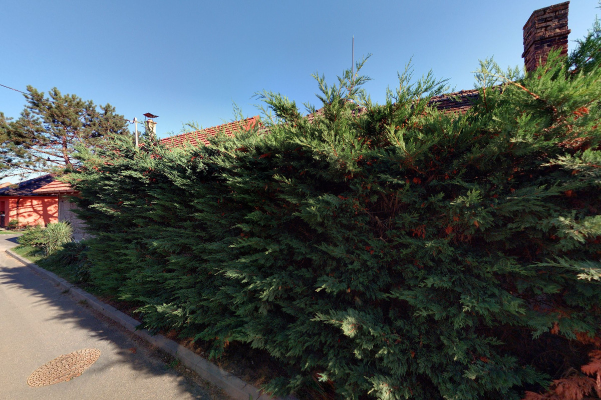 Tomáš Bednář - kreativní slovník