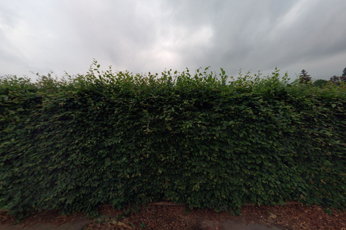 Tenisový klub Benešov u Prahy